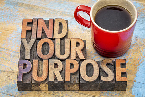 Finding Your Purpose